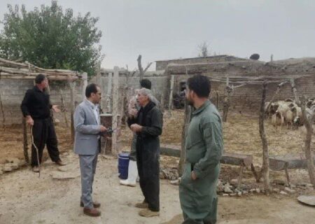 بازدید سرزده از عملکرد اکیپ واکسیناسیون دامپزشکی روانسر