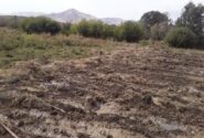 حضرتی: با عامل تخریب اراضی ملی در روستای قروه برخورد شد