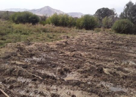 حضرتی: با عامل تخریب اراضی ملی در روستای قروه برخورد شد
